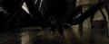 Spider2.png