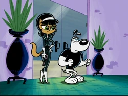 MallRat 42.png