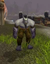 Dragonmaw Blacksmith