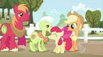 Apple Family MLP