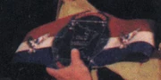 NWA Continental Tag Team Champion