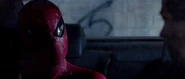 Spider-Man Garfield-1