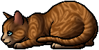 Котенок