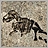 Discovery fossil