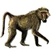 Item chacmababoon 01.png