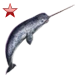 Narwhal