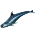 Item irrawadydolphin 01.png