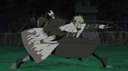 NSFolge248