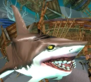 World of Warcraft-306414350.jpg