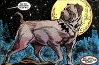 Ace the Bat-Hound