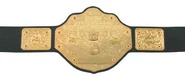 Wcwchampbeltnm3