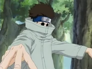 Shinooo