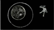 Ring 037