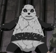 Giant Panda