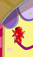 Jelly Kinder talking