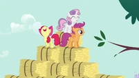 CMC singing at the top of bales S2E17
