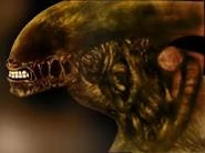 Dog alien