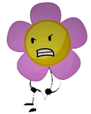 Flower 7