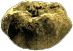 FOT puffer.png