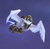 ThundermarWarGryphon