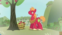 Big Mac in imagine spot 1 S2E17