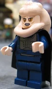 2012 Bib Fortuna