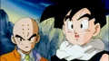 GohanGKrillin