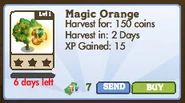 Magic Orange Tree Market Info (2012)