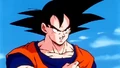 GokuS13