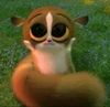 Mort-mort-the-lemur-6914437-500-483