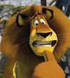A-madagascar-mad231