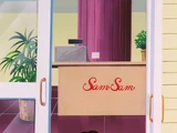 SamSam2