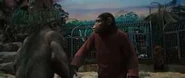 ThumbnailCANOL0CK
