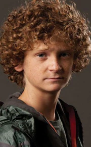 District 4 Male