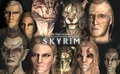 Racesofskyrim.jpg