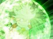 Conway Slowking Protect