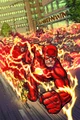 Flash 0017