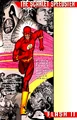 Flash 0023