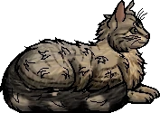 Tanglewhisker.elder