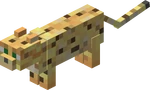 Ocelot