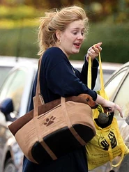 Adele-300