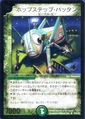 Dm-p43-y5