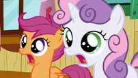 Scootaloo & Sweetie Belle jaw drop S2E17