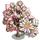 Star Magnolia Tree-icon