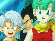 Bulma