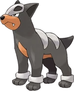 Houndour
