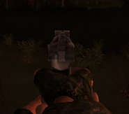 CoPPMsights
