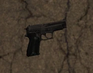 CoPP220Worldmodel