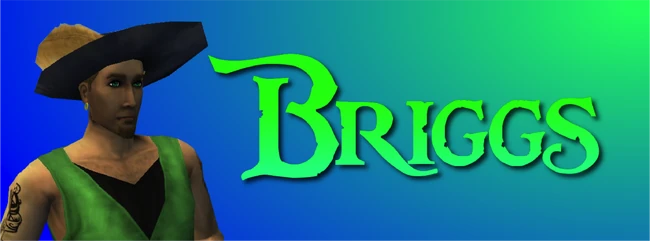 BriggsGreenBanner