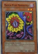 MagicalPlantMandragola-SD16-AE-C-1E